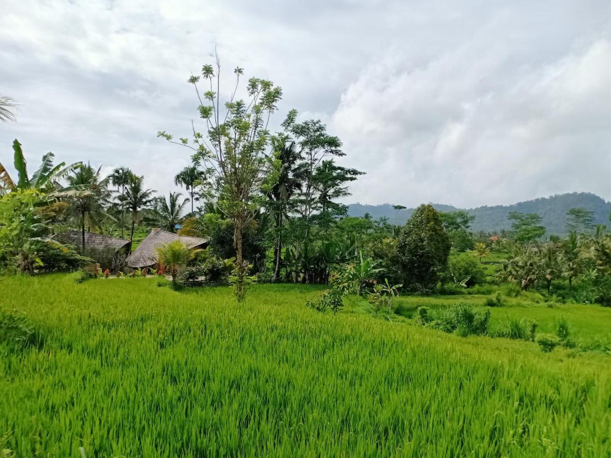 Jero Tumbuk Private Villa Selat Exterior photo