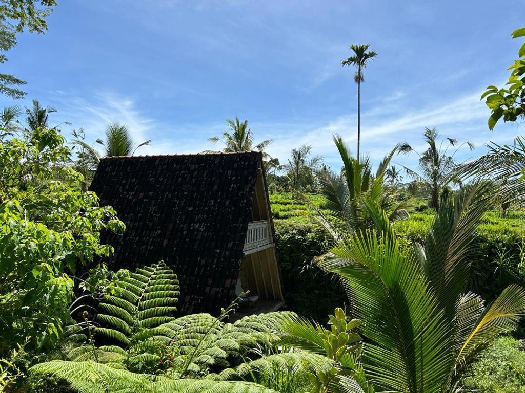 Jero Tumbuk Private Villa Selat Exterior photo