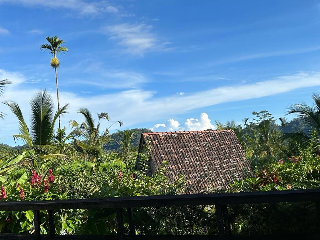 Jero Tumbuk Private Villa Selat Exterior photo